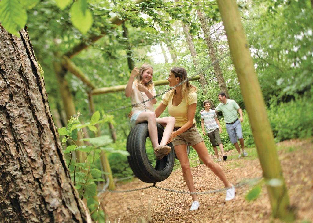 Swandown Lodges Чард Екстер'єр фото