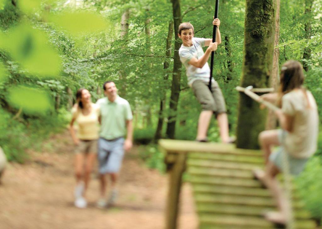 Swandown Lodges Чард Екстер'єр фото
