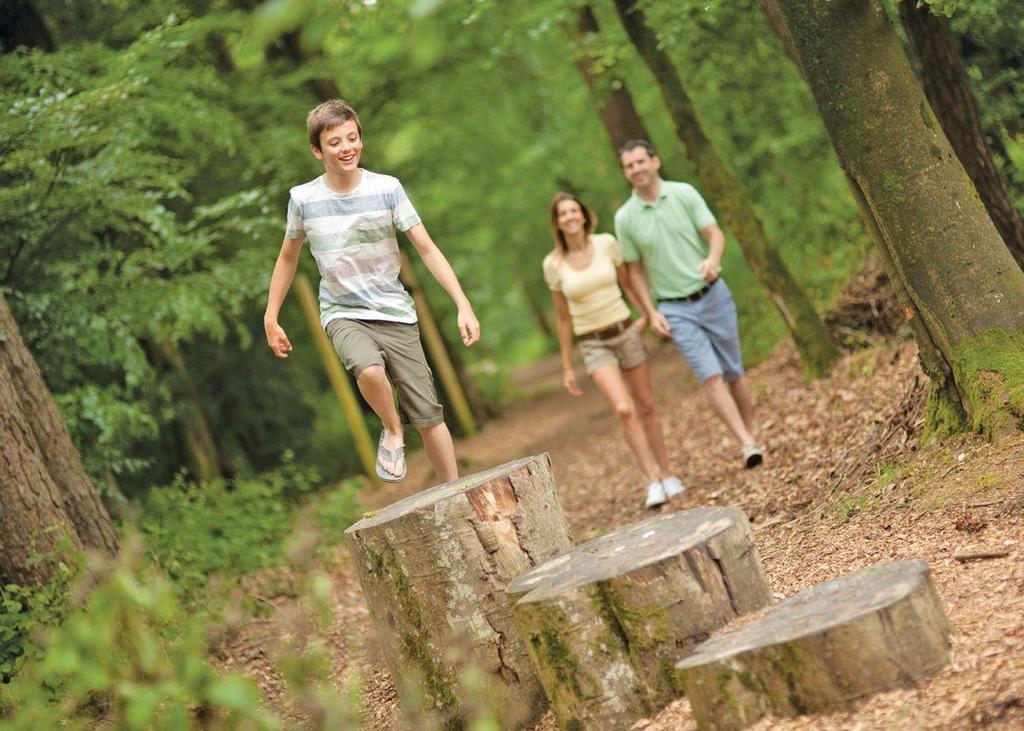 Swandown Lodges Чард Екстер'єр фото